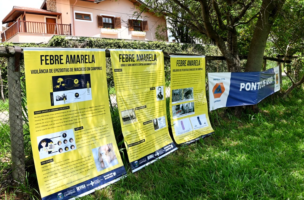 Campinas registrou quarto caso de febre amarela em residentes neste ano