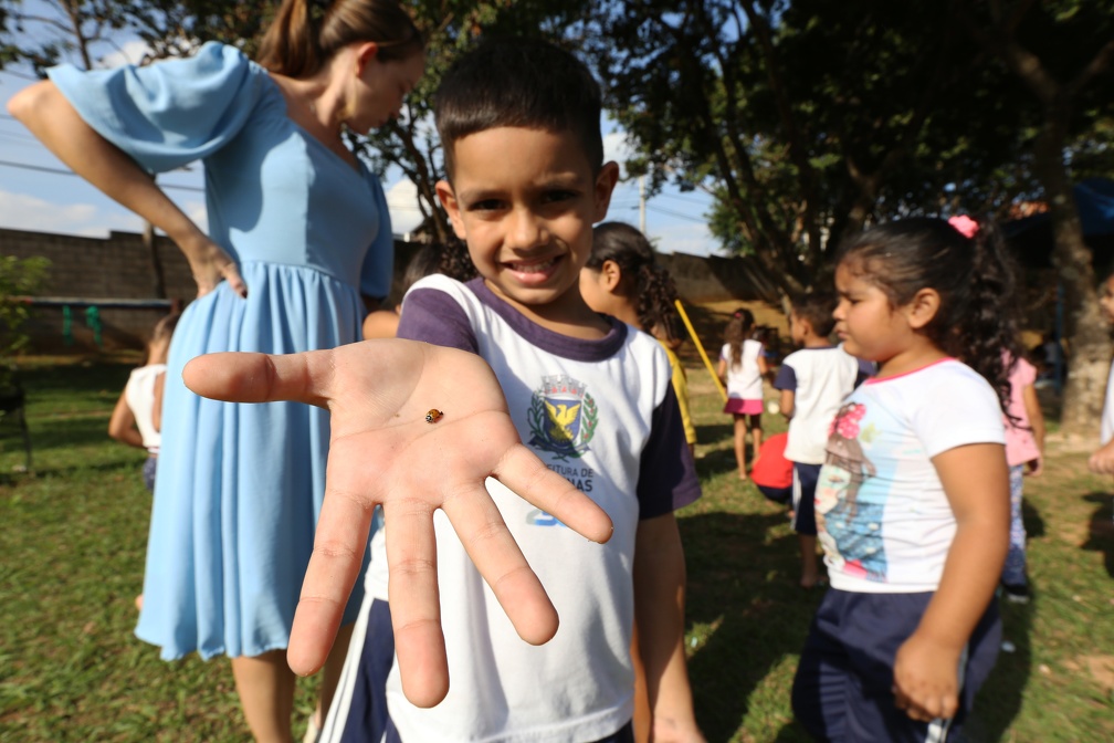 Alegria tomou conta da CEI Marilena Cabral, no DIC I