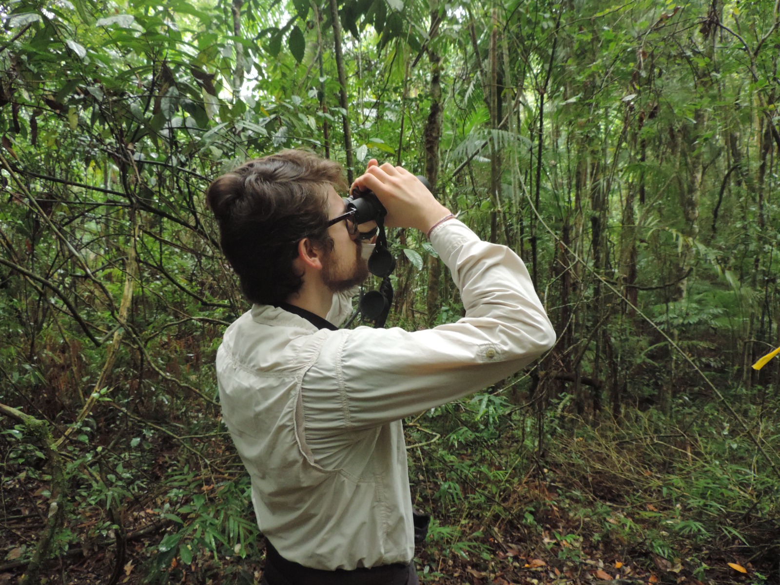 Observação focal realizada por Eduardo Rigacci