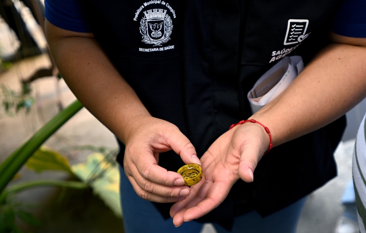 Centro, Jardim Aurélia e Vila Ipê também estão entre bairros com reforço nas medidas contra dengue