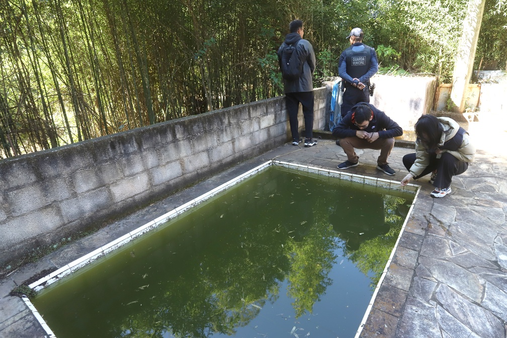 Agentes realizaram controle químico com larvicida na piscina de um imóvel