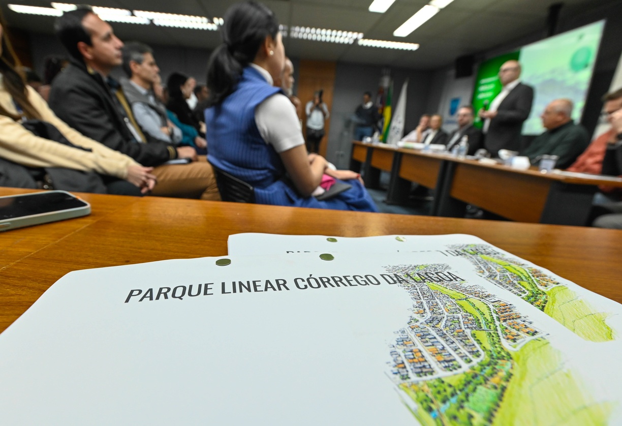 Ação para recompor a área degradada do entorno do córrego e planejar a implantação do parque linear 
