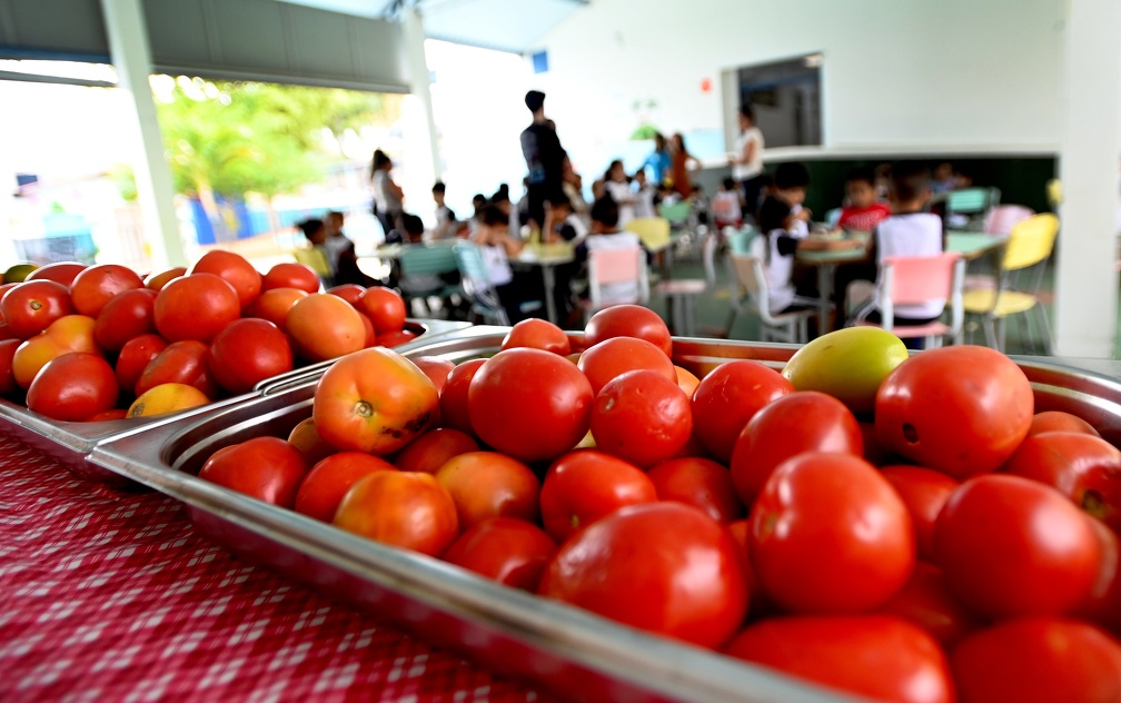 Alimentação saudável é tema de nova série da EducaTV Campinas
