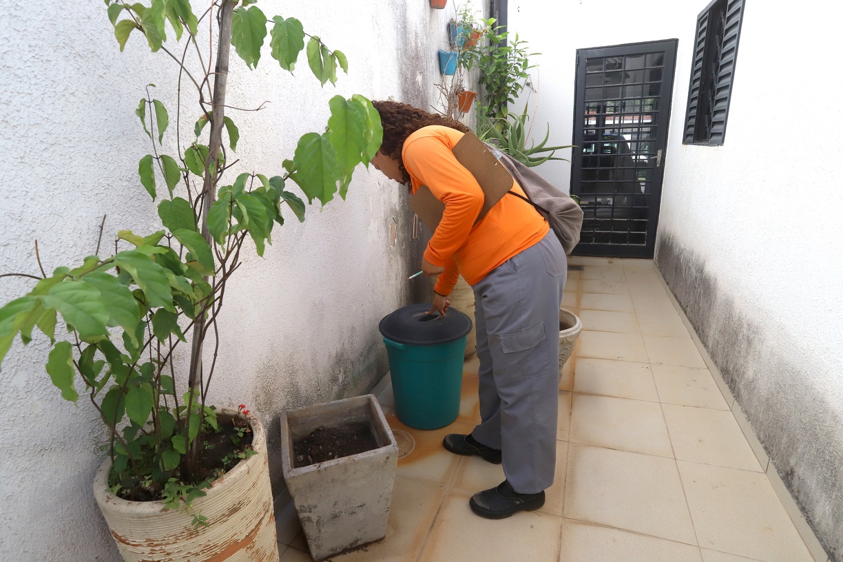 Equipes vão visitar imóveis para remoção de criadouros e conscientização de moradores