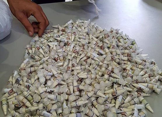 Apreensões chegaram a 2797 porções prontas para consumo