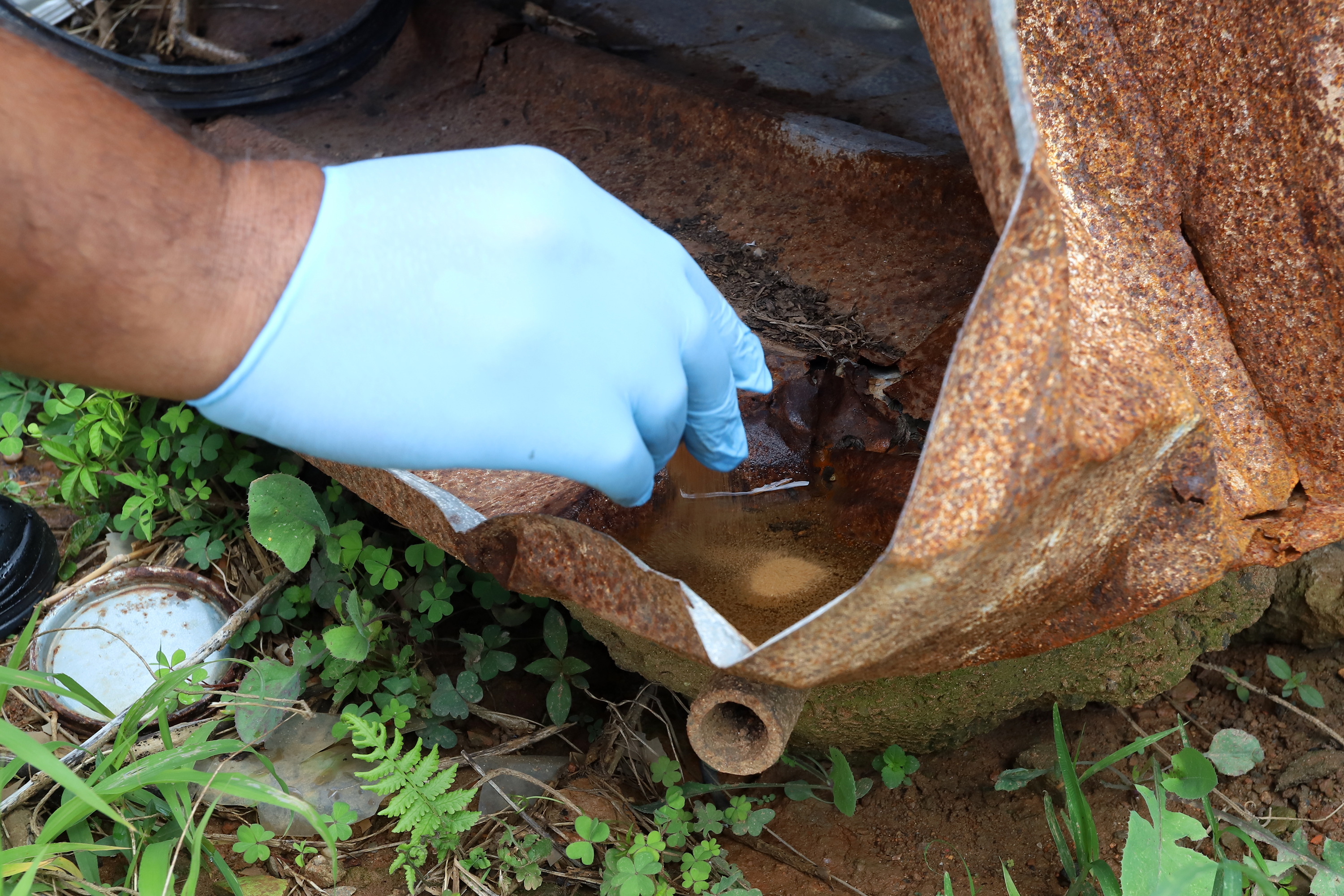 É preciso evitar acúmulo de água em latas, pneus e outros objetos
