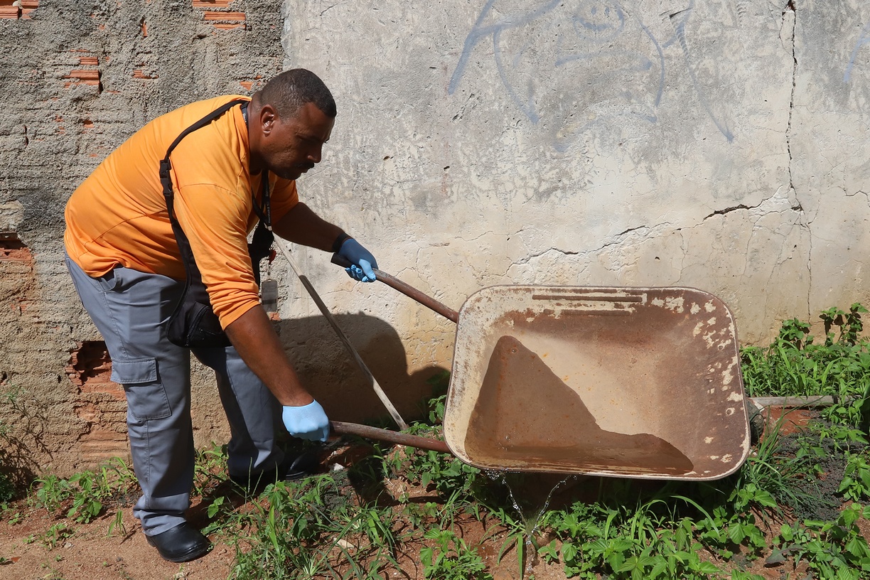 Para acabar com o mosquito é preciso evitar acúmulo de água em latas, pneus e outros objetos