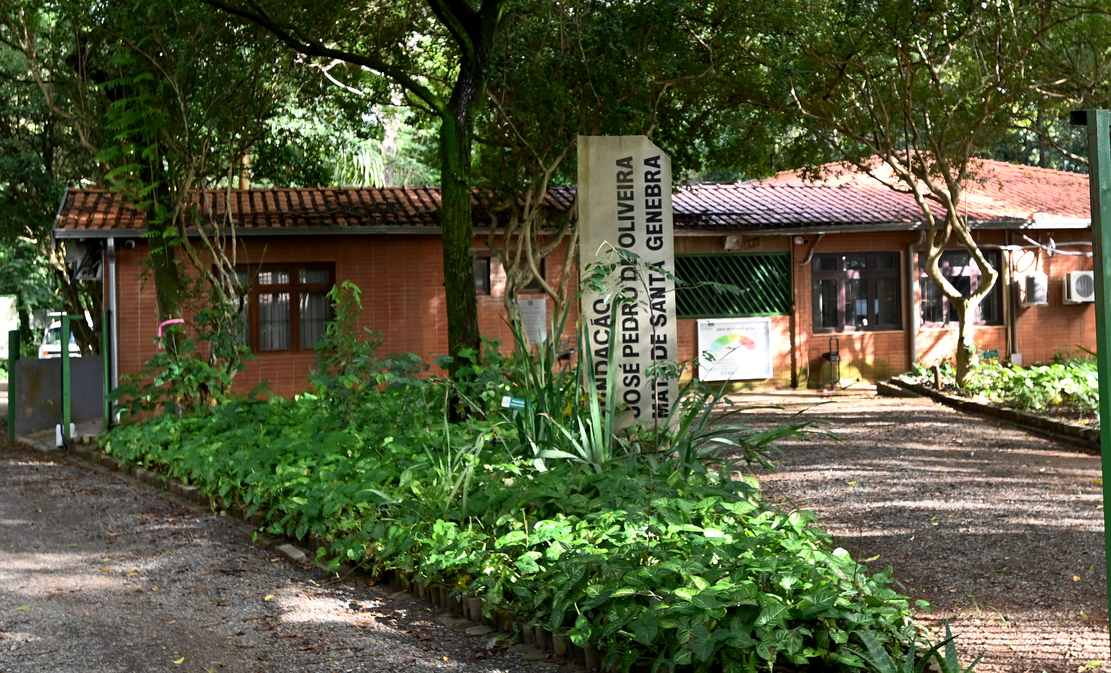 Mata de Santa Genebra recebe cerca de 30 participantes do programa UniversIDADE, da Unicamp, na próxima sexta-feira, 27 de março