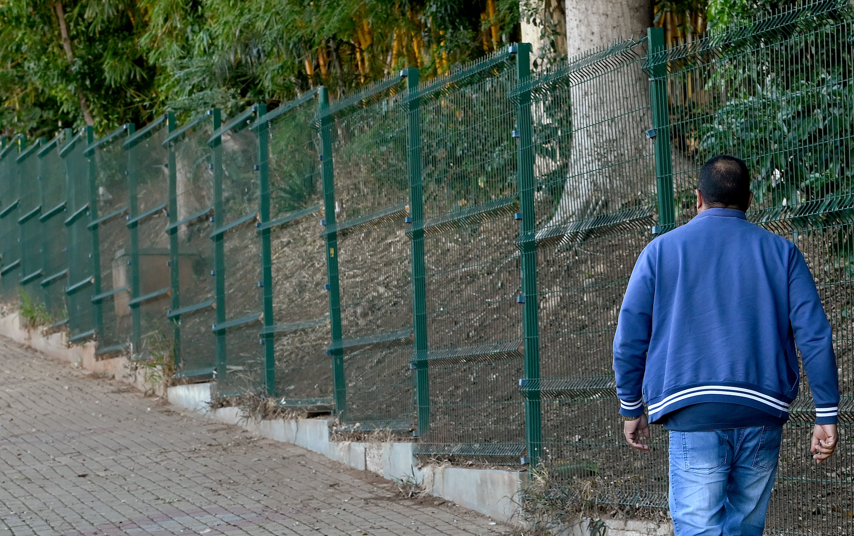 Gradis terão 2 metros de altura (foto do Bosque dos Jequitibás)