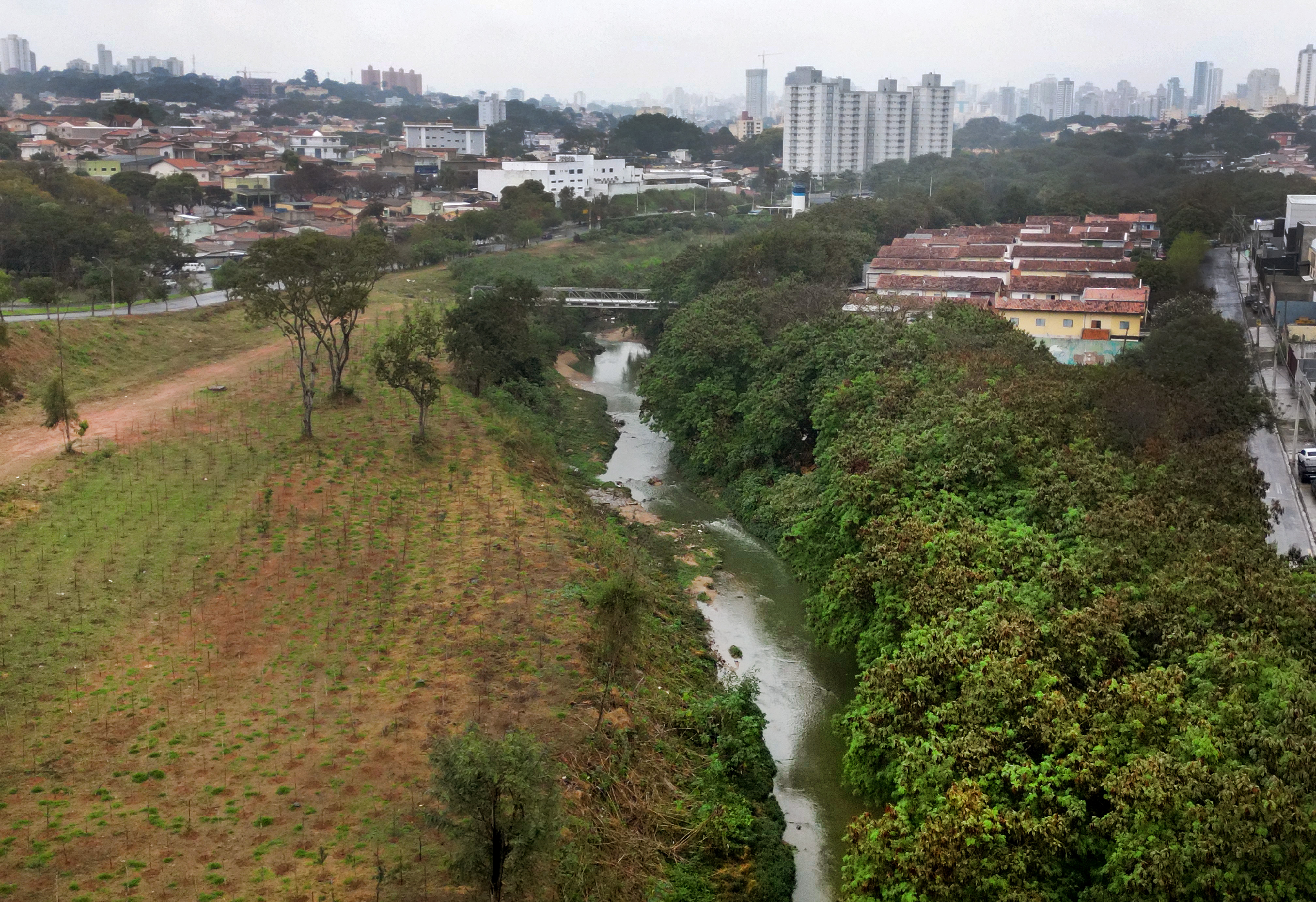 Na Vila Madalena, em frente ao Bosque da Paz (região do Ribeirão Anhumas),  foram plantadas 3.950 mudas
