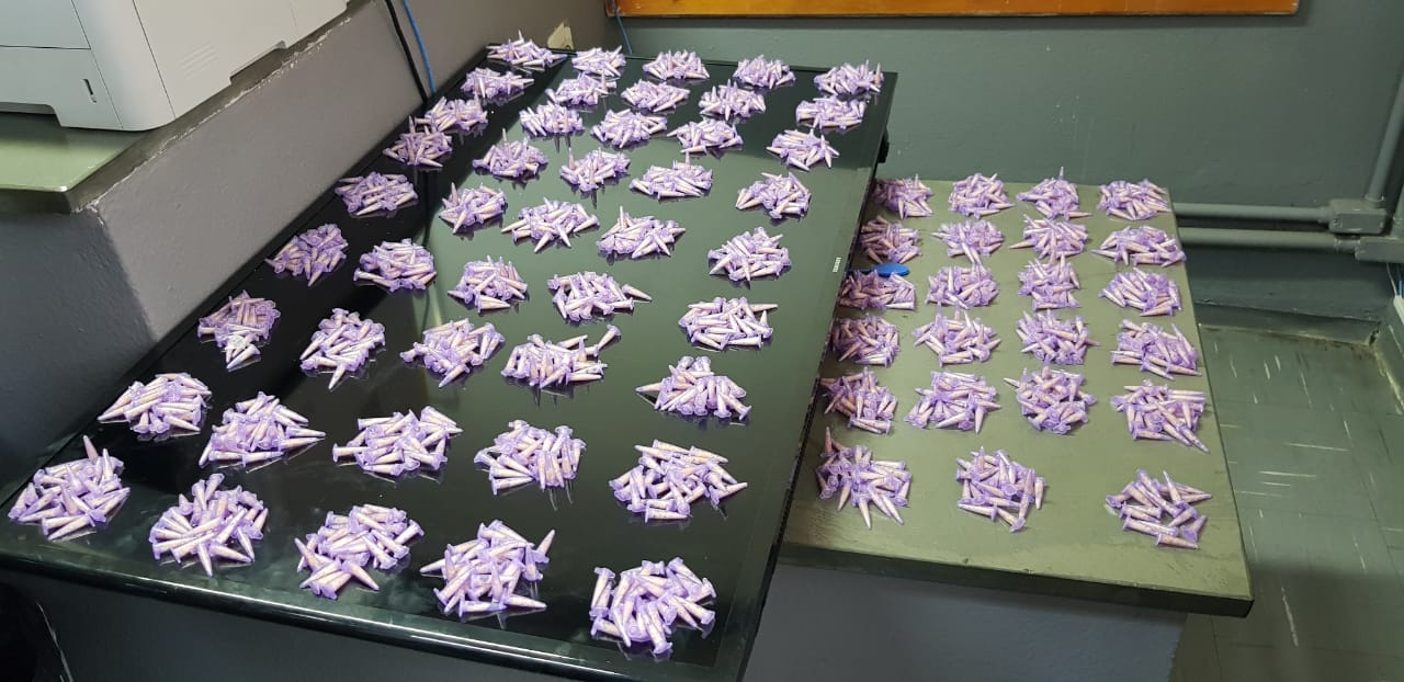 ... levaram à identificação de drogas e dinheiro