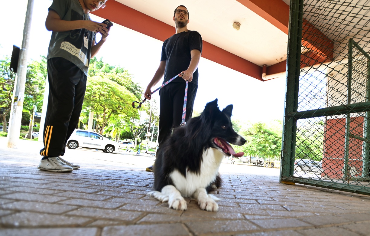 Com a medida, os pets também podem se exercitar ao lado da família 