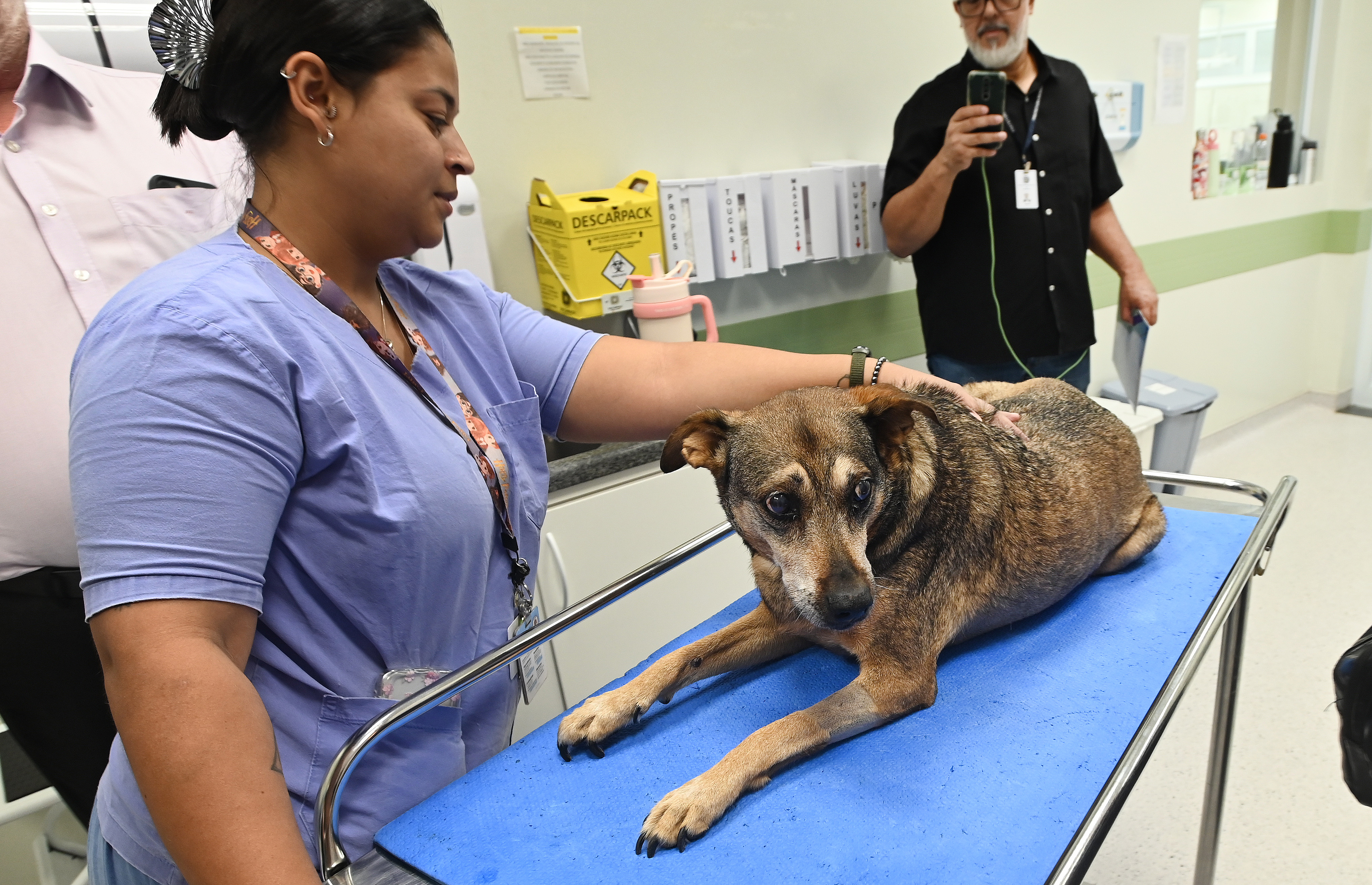 Convênio vai oferecer 33 serviços para animais resgatados pelo DPBEA