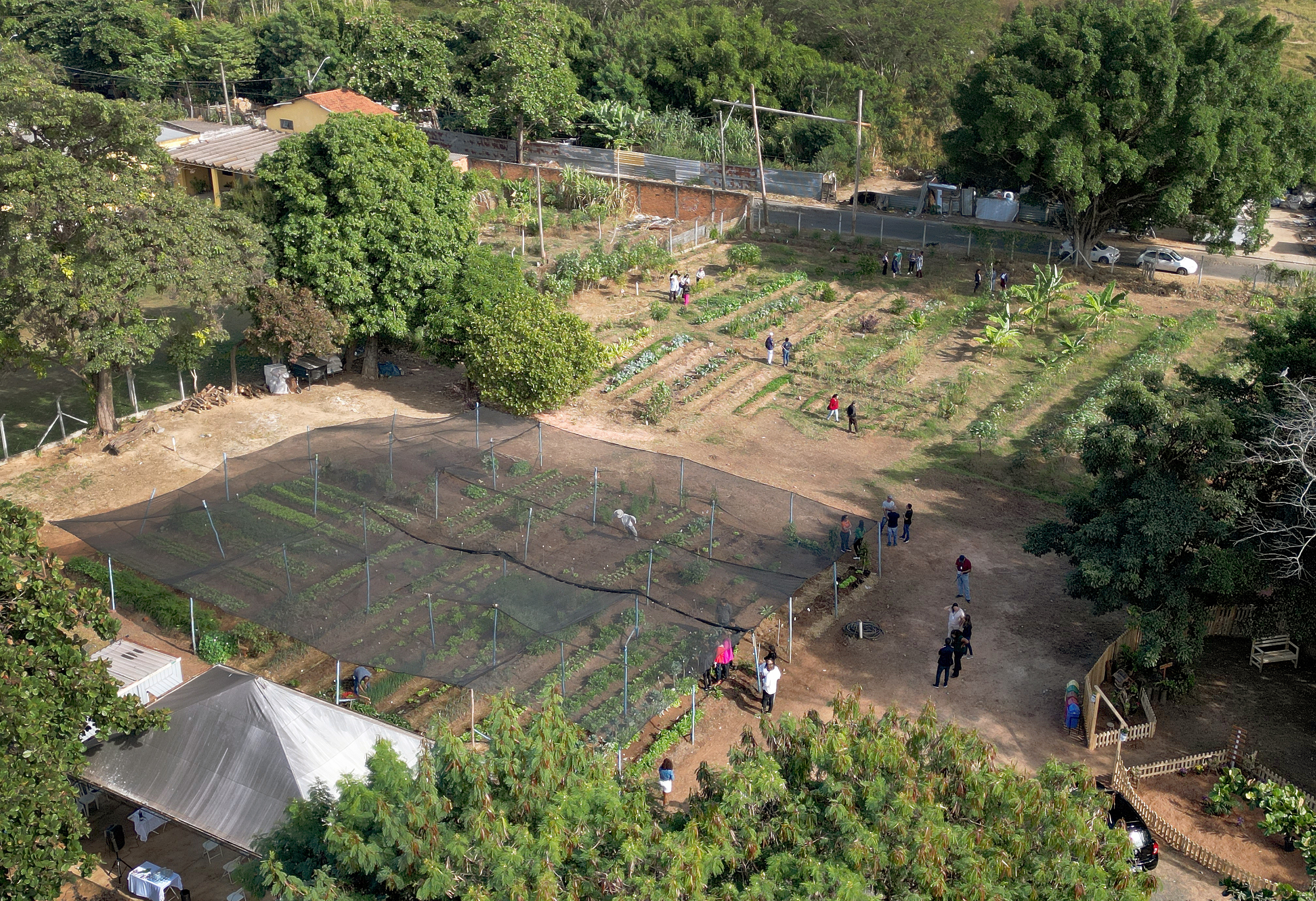 Vista aérea da horta comunitária do Jardim Florence