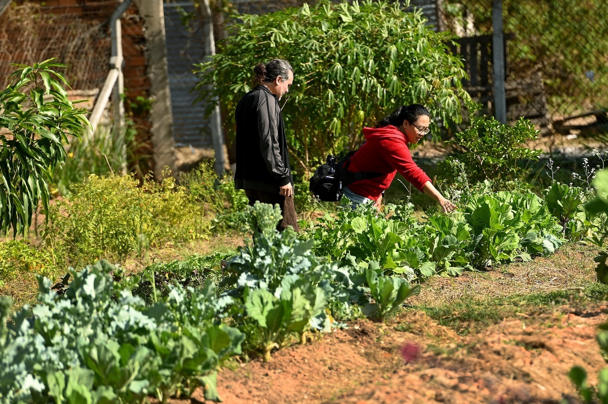 Grupo está examinando como o observatório municipal poderia ajudar a organizar informações e gerar leituras mais qualificadas sobre o tema