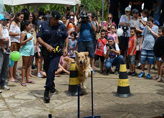 Cães adestrados chamaram a atenção de crianças e adultos