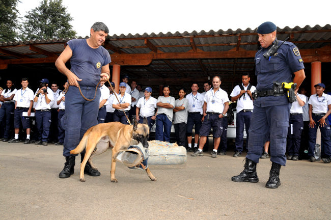 Uma das dicas é manter a calma