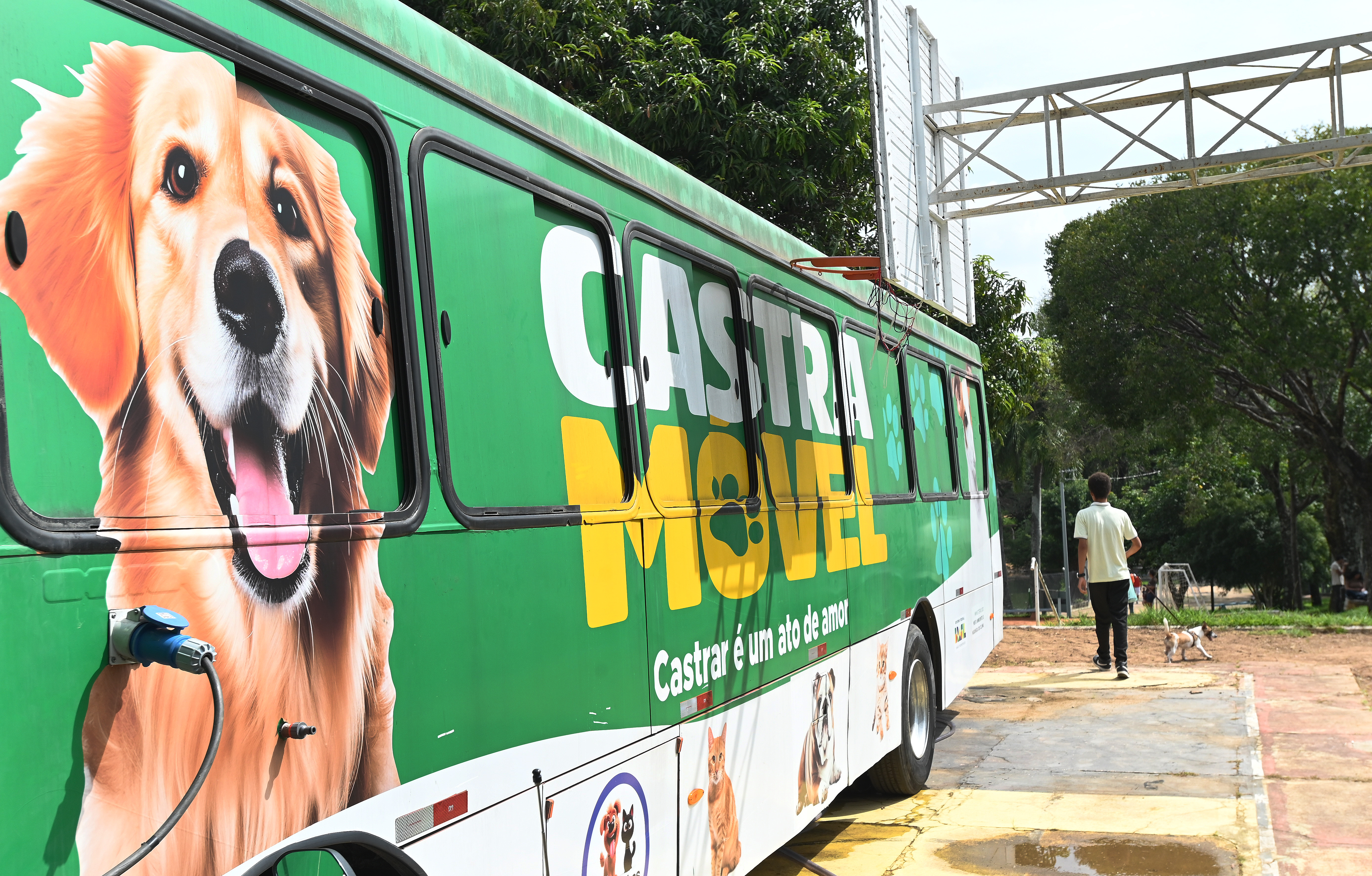 Ao todo, serão disponibilizadas 1,5 mil vagas para tutores de cães e gatos residentes em qualquer região de Campinas