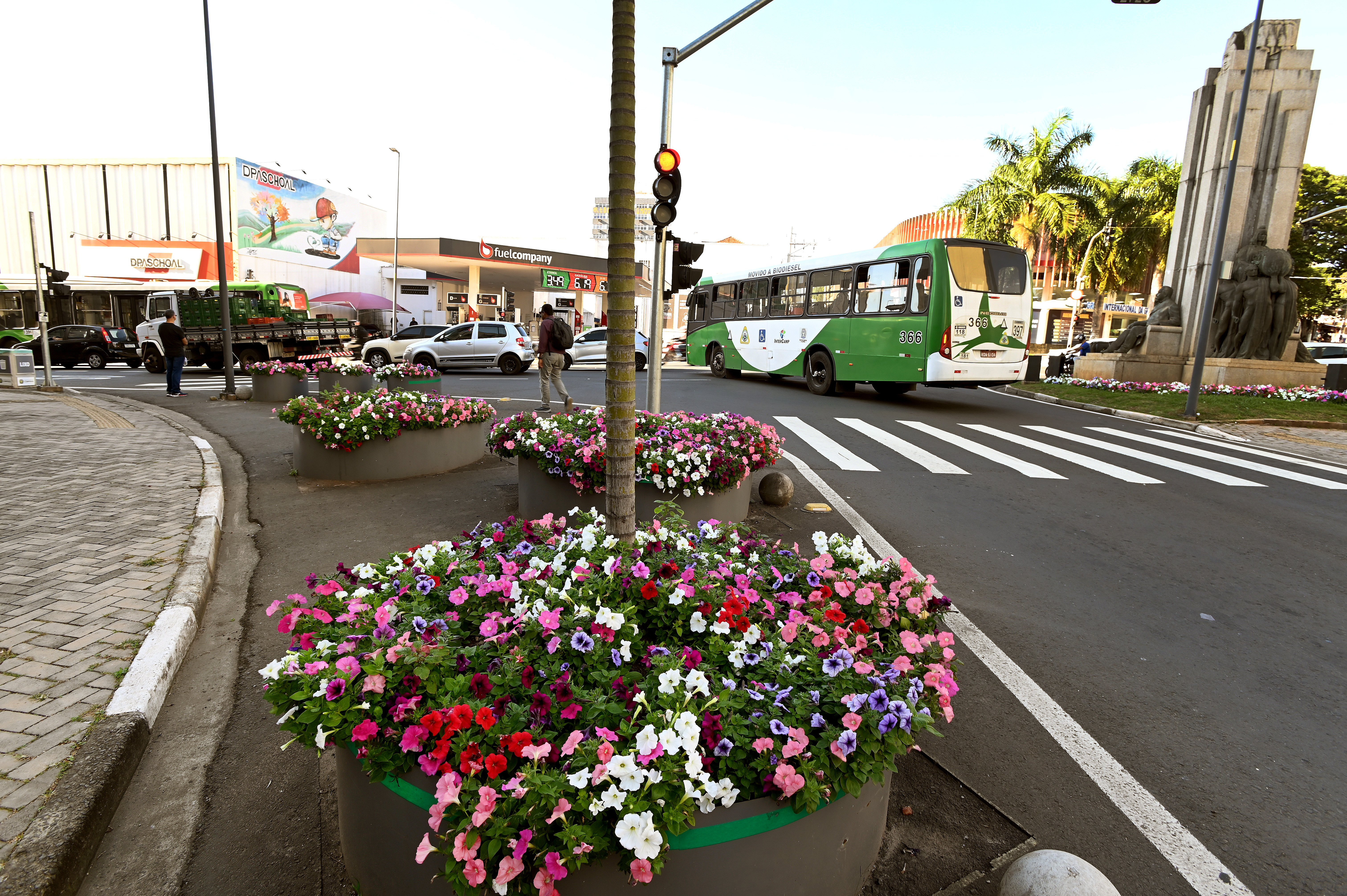 Flores são plantadas em canteiros, jardins, floreiras e praças de Campinas