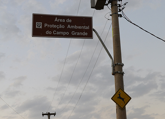 Espécies mais protegidas