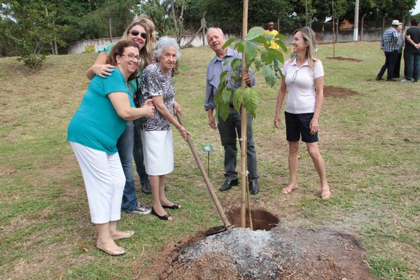 Plantio de ipês lembra que a natureza e os seres humanos enfrentam dificuldades mas depois se recuperam