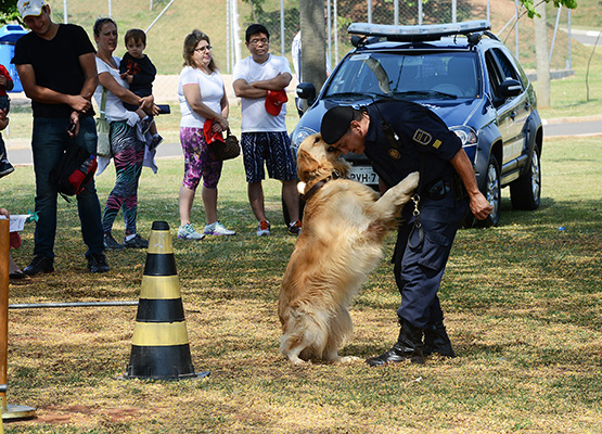 Cachorro da GM na edição do ano passado: sucesso