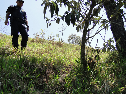 Ronda em mata protegida