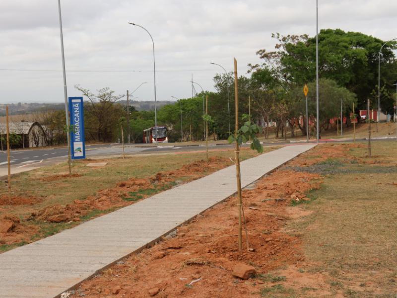 Árvores ao lado da ciclovia e na praça: garantia de sombra em breve