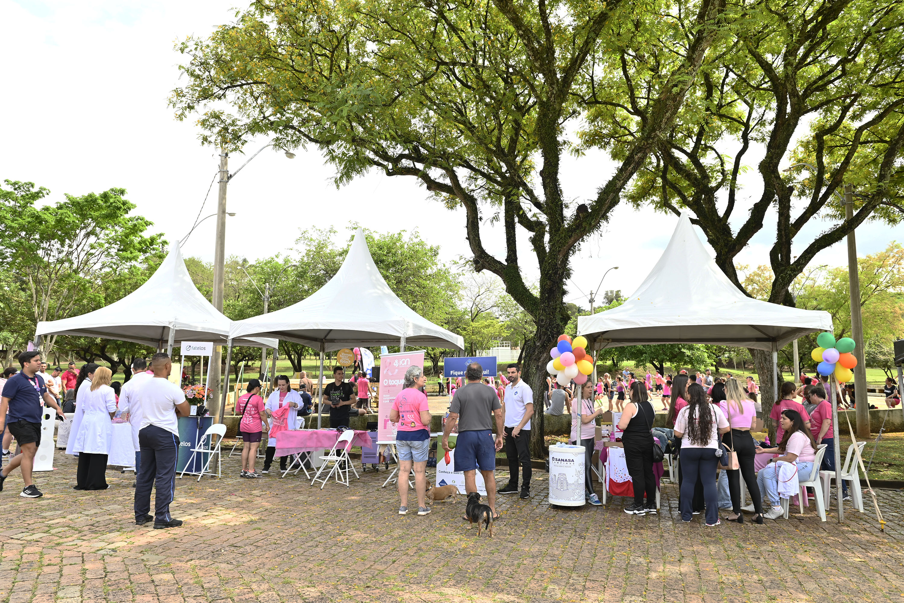 Diversas atividades estarão disponíveis para a população