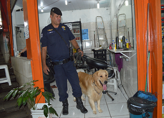 Caes farejadores participaram da ação