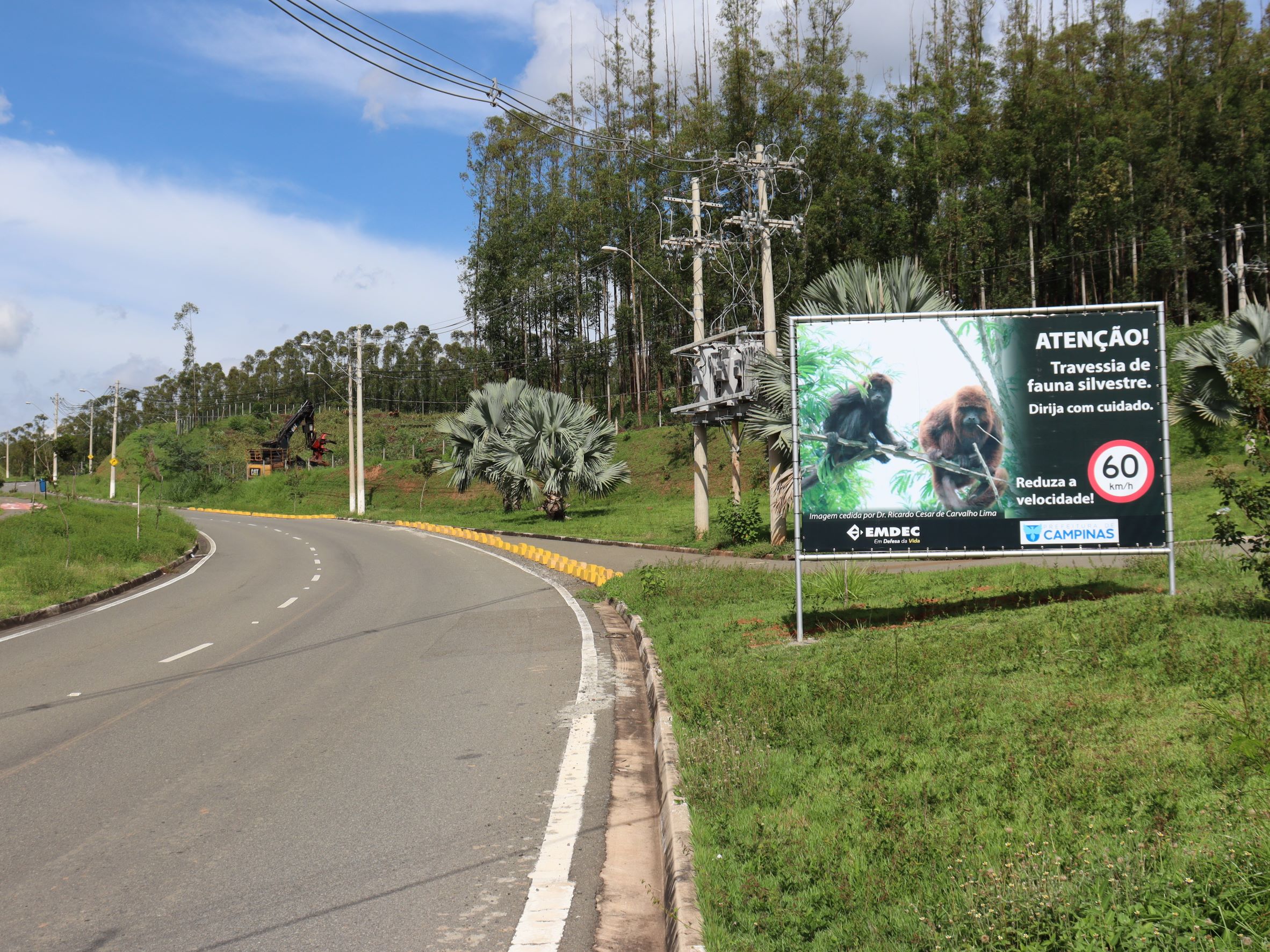 Banner com foto de animal lembra a velocidade da via