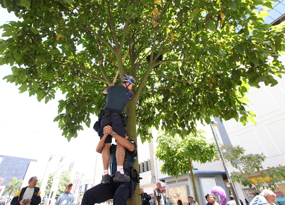 Buscas foram completas