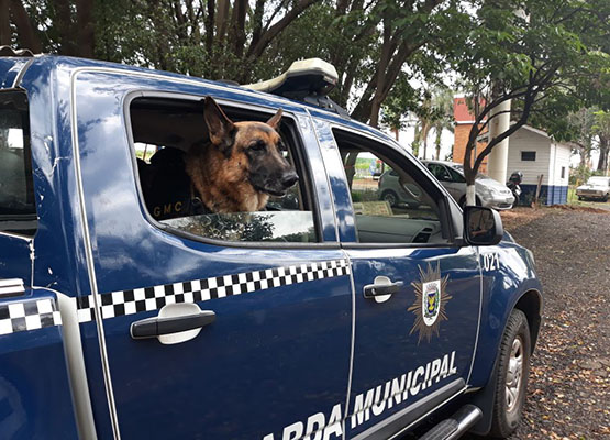 Snipper foi levado de viatura para o sítio