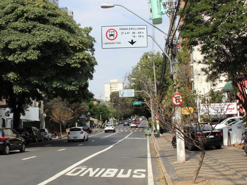 Sinalização horizontal reforça a segurança