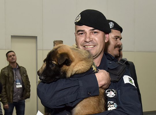 Filhote de pastor alemão foi o prêmio do torneio