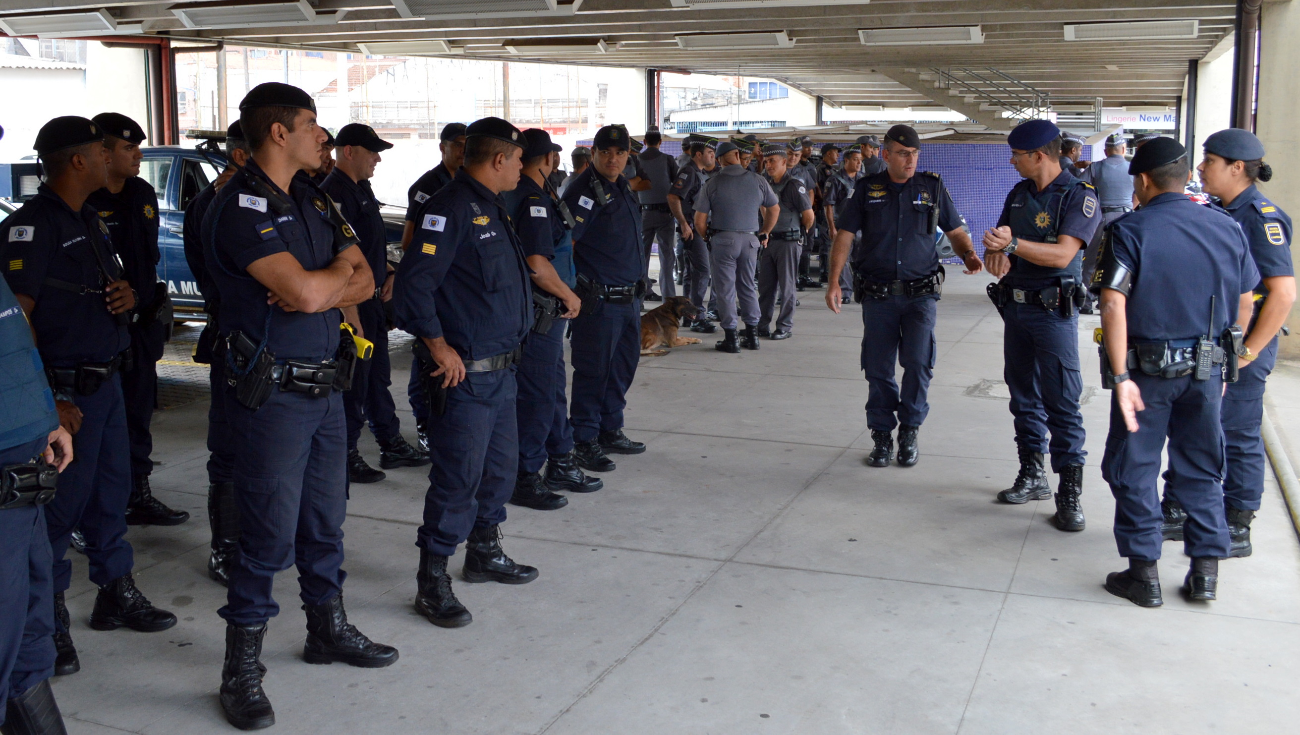 Guardas Municipais participaram da operação