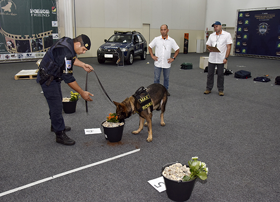Cães disputaram duas modalidades: Proteção e Faro