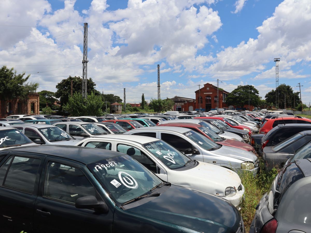 Há lotes com e sem direito à documentação; e materiais para sucatas e prensas. 