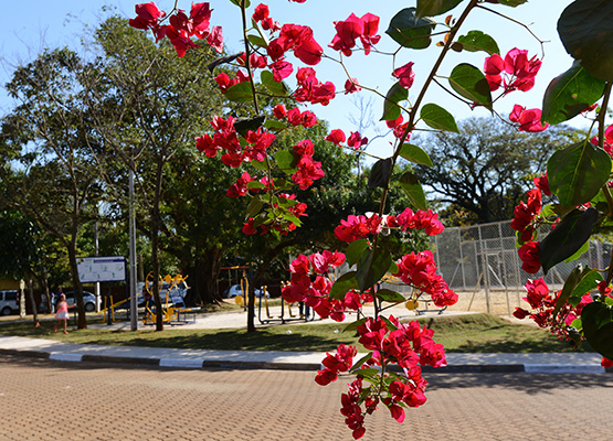 Praça vai beneficiar cerca de 4 mil pessoas