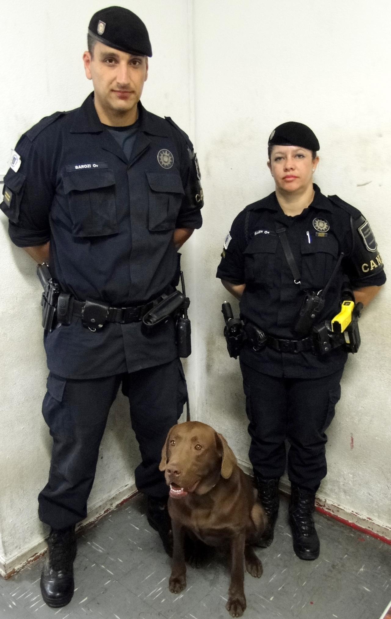 GMs com cão farejador de drogas