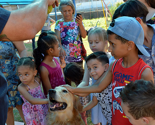 Cachorro recebe cafuné das crianças