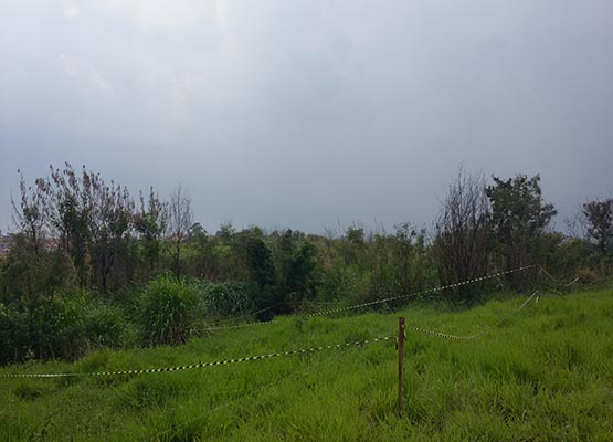 Jardim Aeronave: nenhuma família foi encontrada morando no local