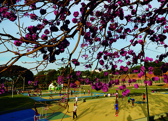 Verão Vivo é a abertura da pista interna do entorno da Lagoa para práticas recreativas