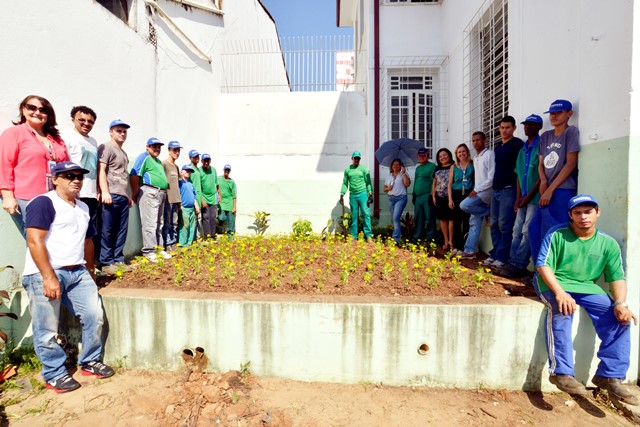Grupo mostra resultado do plantio de mudas