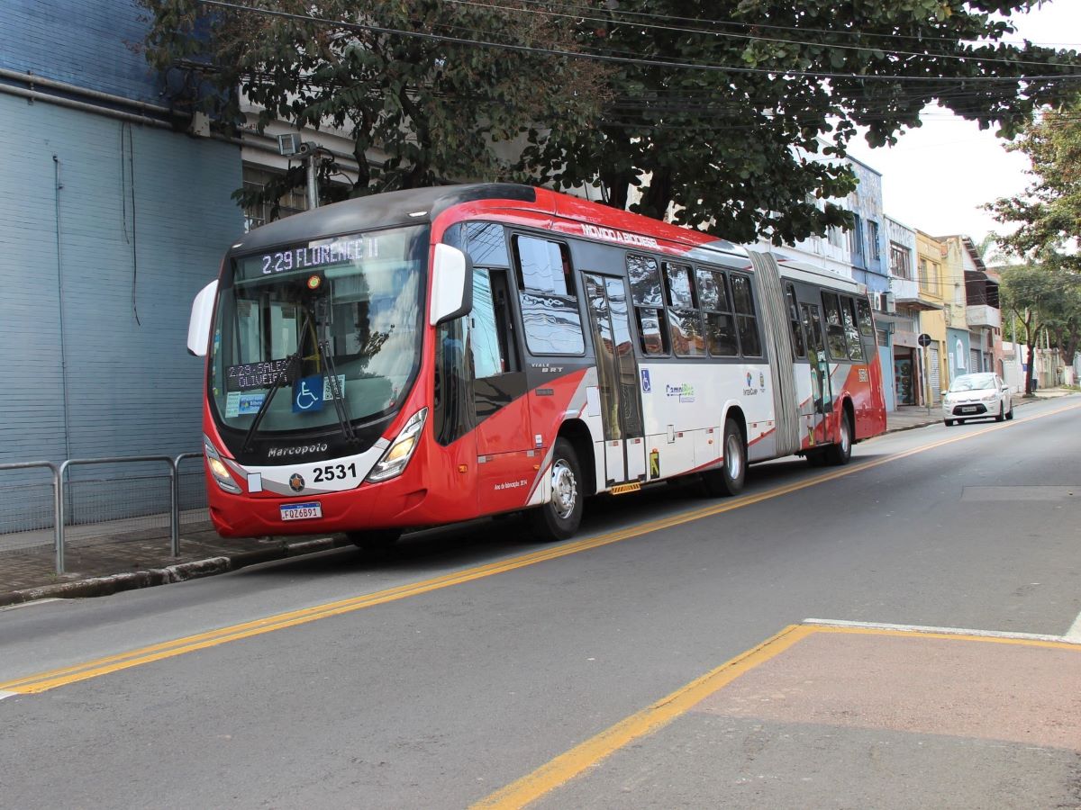Atualmente, a linha 229 circula com dez veículos na frota e atende, em média, cinco mil passageiros diariamente.