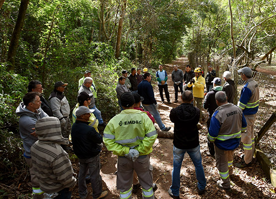 Treinamento foi realizado na Mata de Santa Genebra
