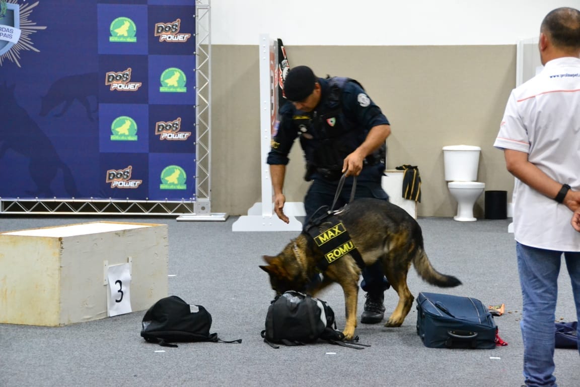 Quatro cães do Canil da Guarda Municipal de Campinas estão inscritos no torneio