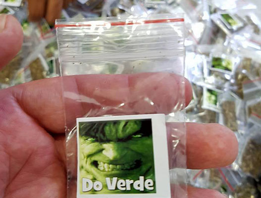 Drogas foram apreendidas