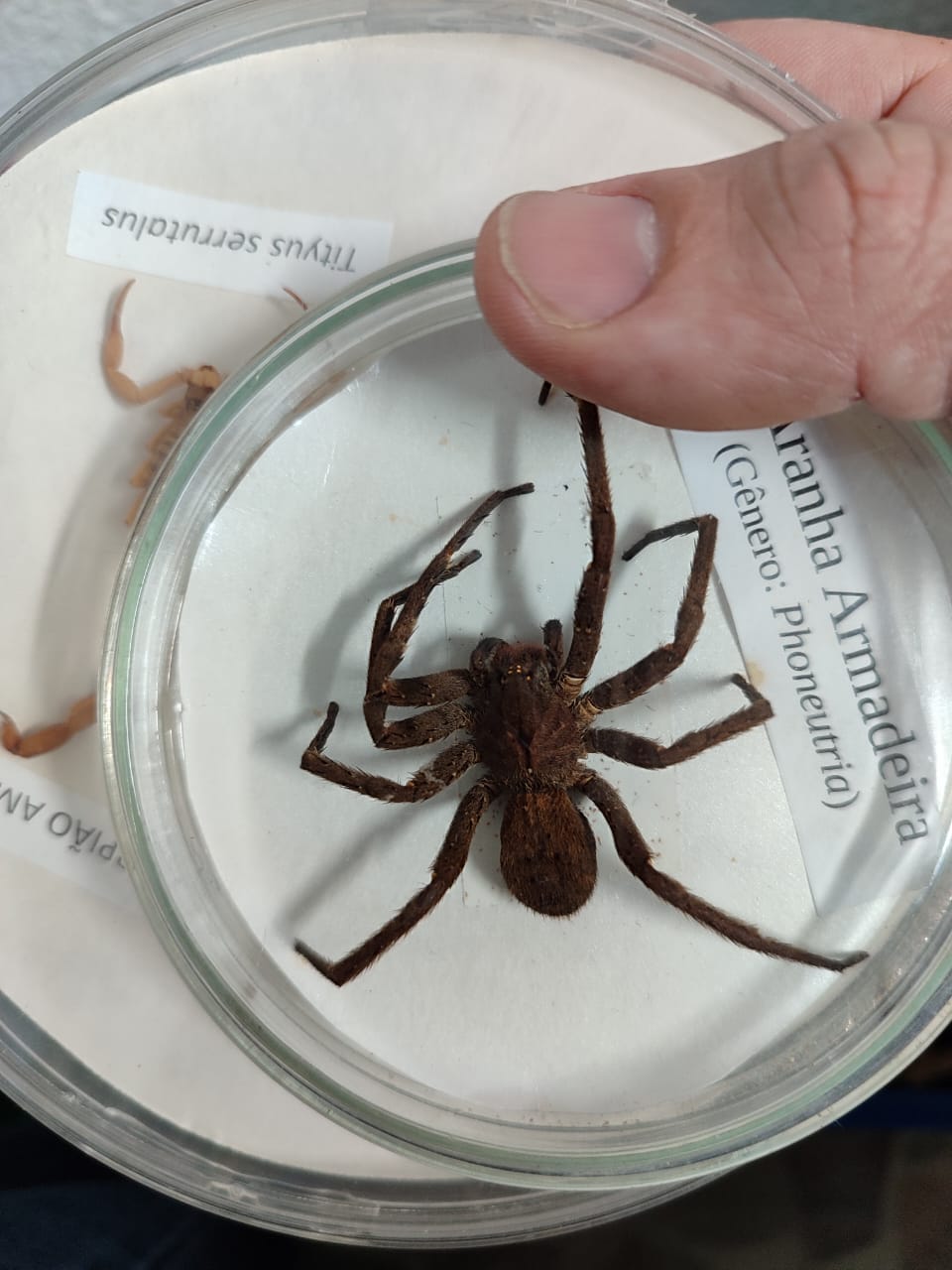 Iniciativa aproveita a biodiversidade da floresta para promover o aprendizado de forma leve e descontraída