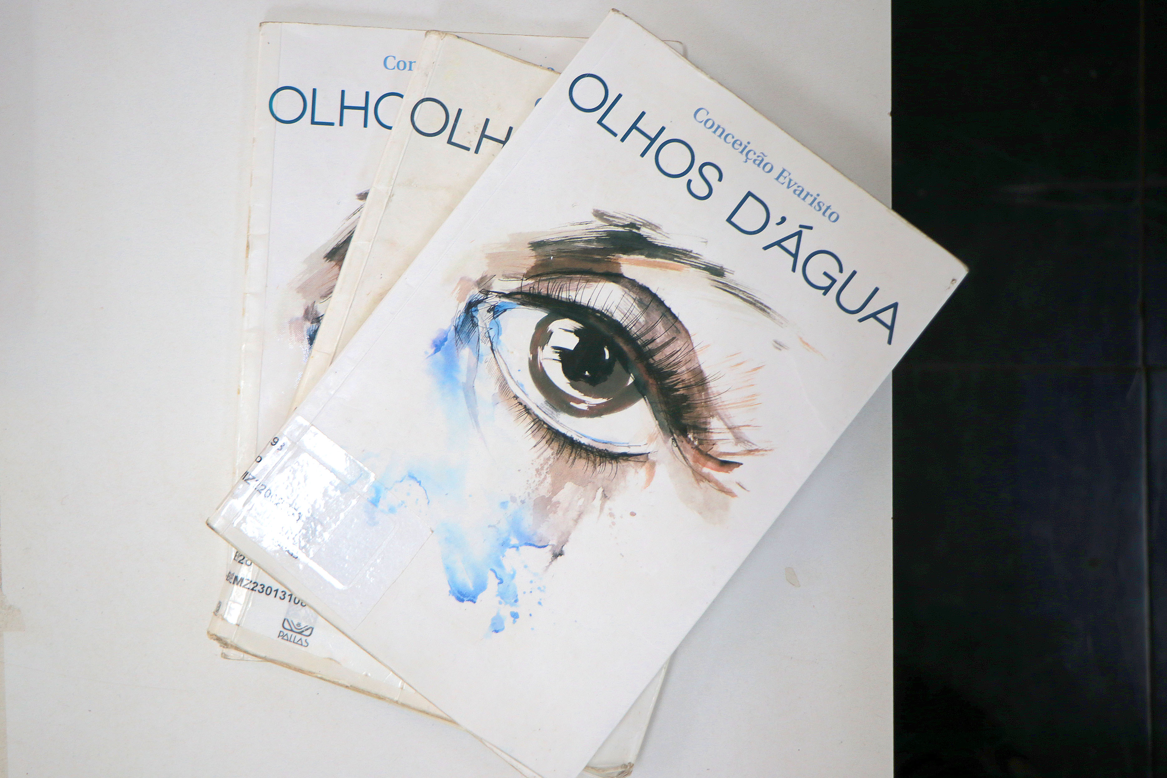 Livro está disponível para leitura na Biblioteza Zink, no Centro de Campinas